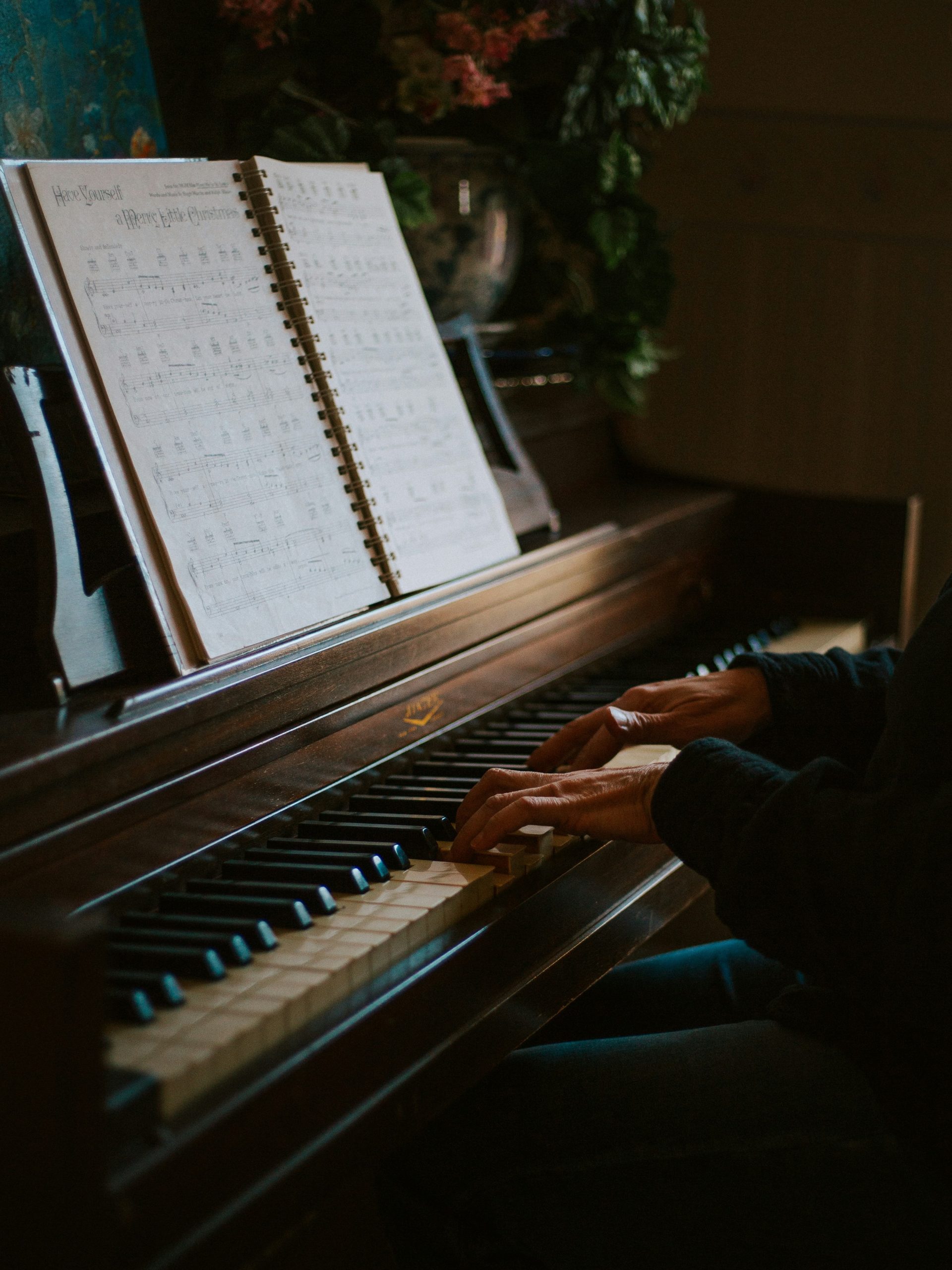Private Violin & Piano Lessons in Rotterdam – Beginners to Advanced